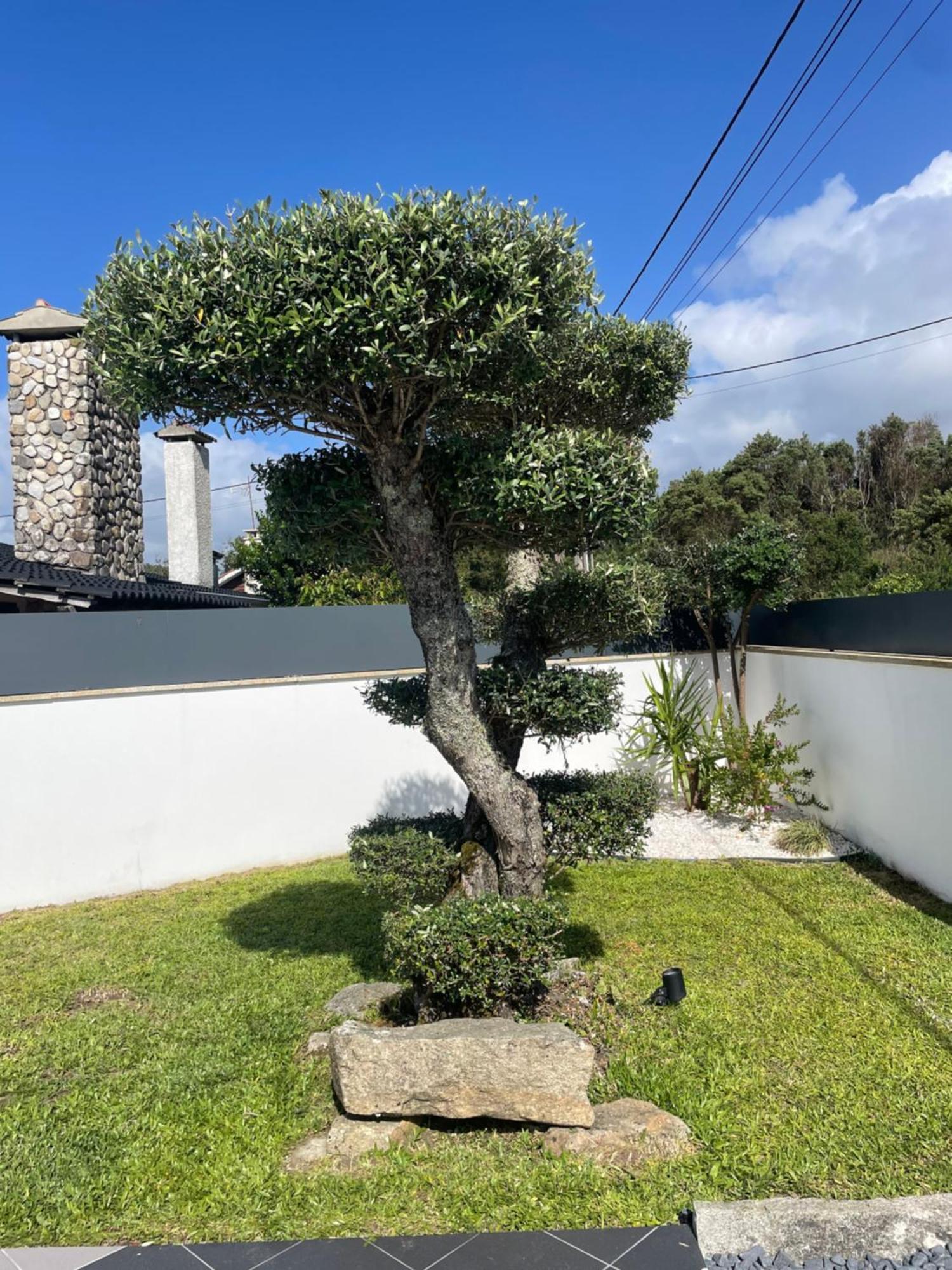 Villa - Ancora - 300 Metres De L'Ocean Vila Praia de Âncora Extérieur photo
